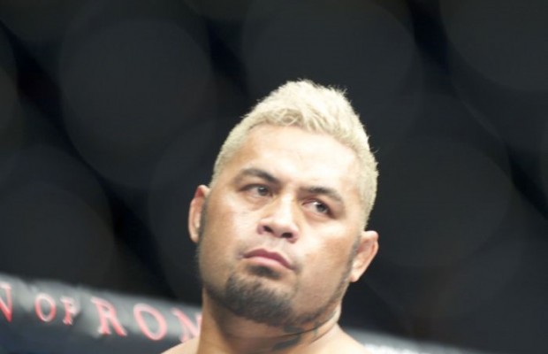 UFC Fight Night: Mark Hunt vs Roy Nelson broadcast details – Fight News ...